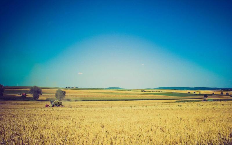 L'IA au service de l'agriculture ouest-africaine