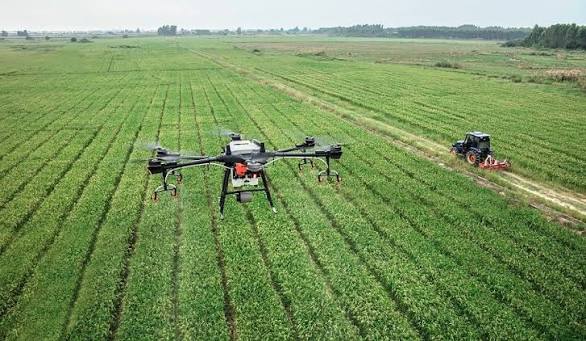 Togo : l’intelligence artificielle arrive dans l’agriculture pour mieux anticiper les risques climatiques